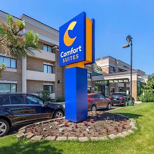 Comfort Suites Oakbrook Terrace Near Oakbrook Center